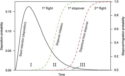 A Comprehensive Model for the Quantitative Estimation of Seed Dispersal by Migratory Mallards